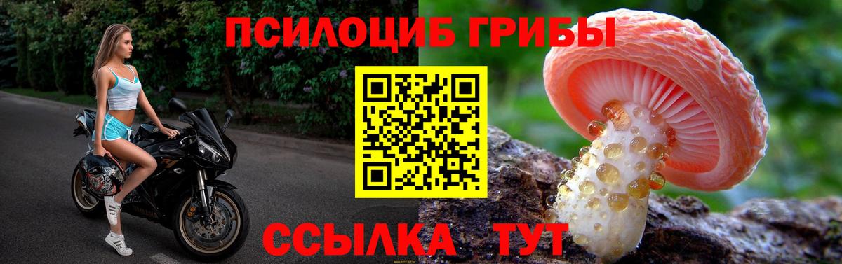 Галлюциногенные грибы мицелий Донской