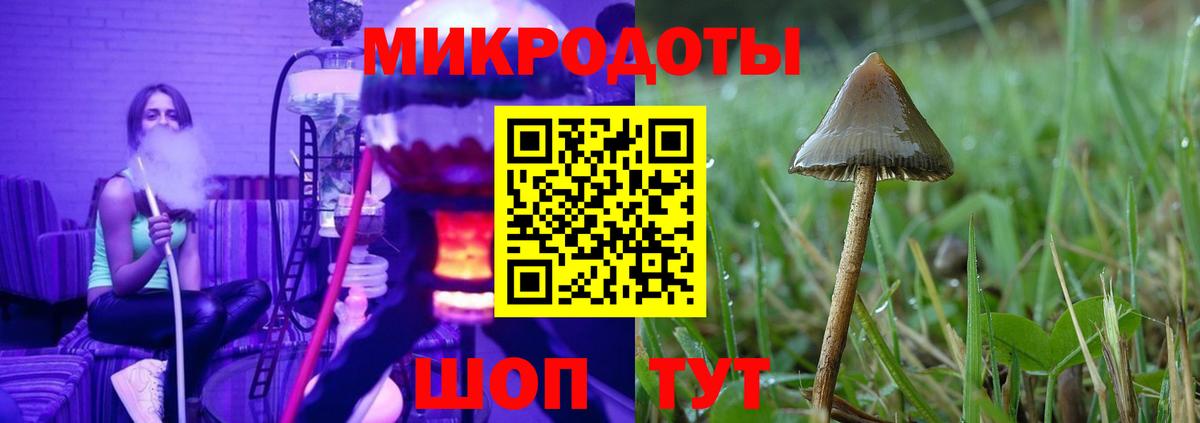 Галлюциногенные грибы Magic Shrooms  как найти закладки  Галлюциногенные грибы Psilocybine cubensis  Донской  Вход с VPN 